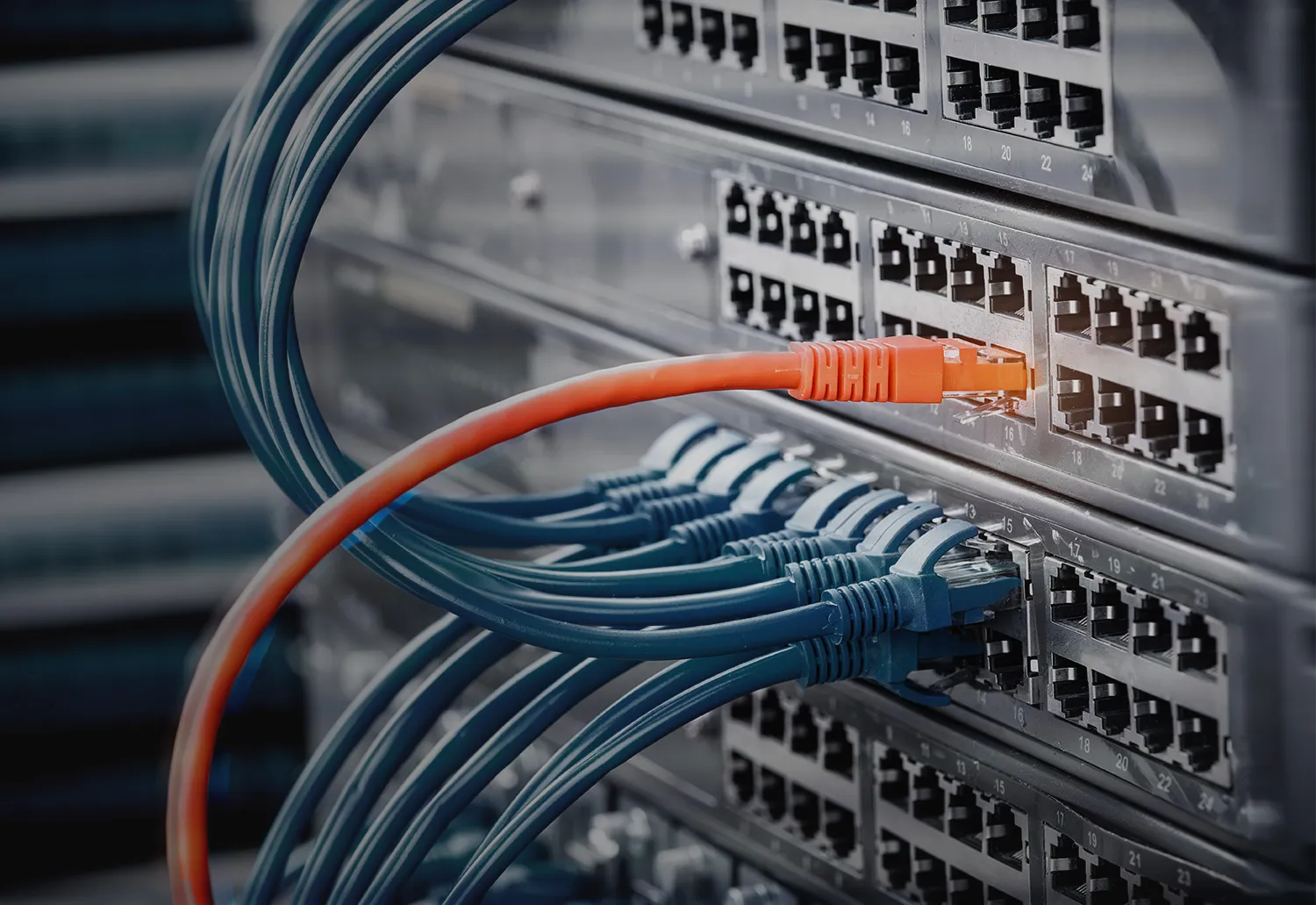 Network Services